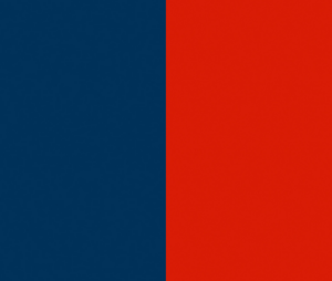 drapeau haiti 1806 1811