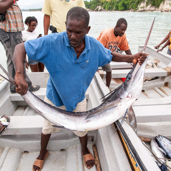 pêche thon poisson homme haiti
